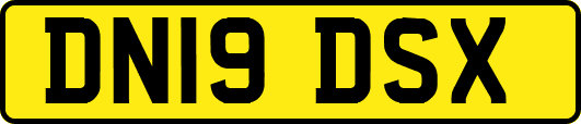 DN19DSX