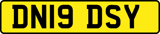 DN19DSY