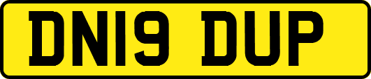 DN19DUP