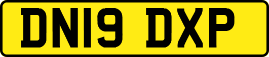 DN19DXP
