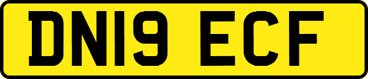 DN19ECF