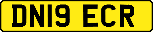 DN19ECR