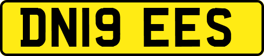 DN19EES