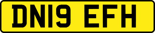 DN19EFH