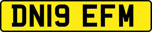 DN19EFM