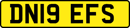 DN19EFS