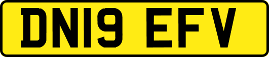 DN19EFV