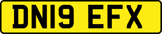 DN19EFX