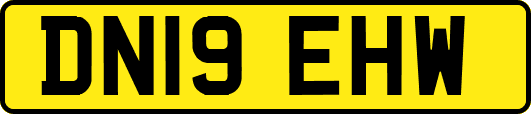 DN19EHW