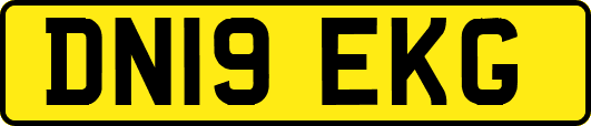 DN19EKG