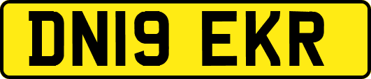 DN19EKR