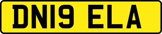DN19ELA