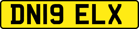 DN19ELX