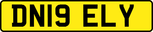 DN19ELY