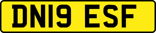 DN19ESF