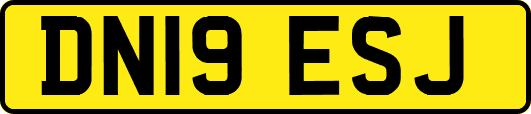 DN19ESJ