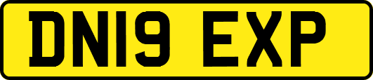 DN19EXP