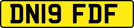 DN19FDF