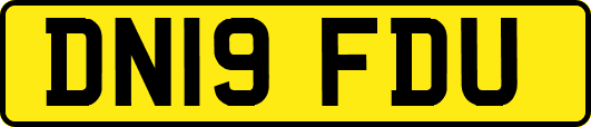 DN19FDU
