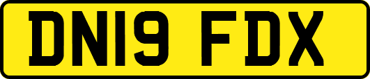 DN19FDX