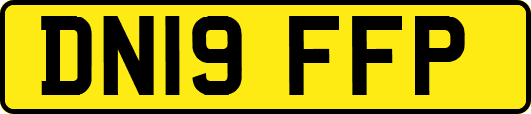 DN19FFP