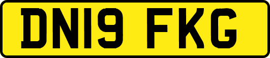 DN19FKG