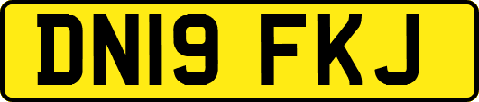DN19FKJ