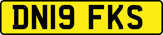 DN19FKS