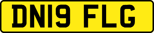 DN19FLG
