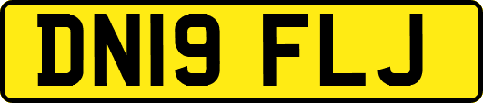 DN19FLJ