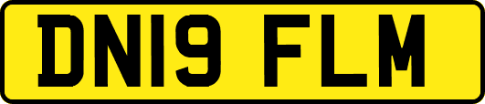 DN19FLM