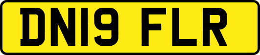 DN19FLR