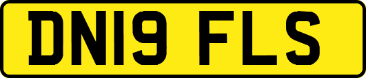 DN19FLS