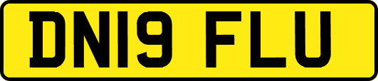 DN19FLU