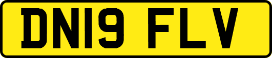 DN19FLV