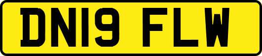 DN19FLW