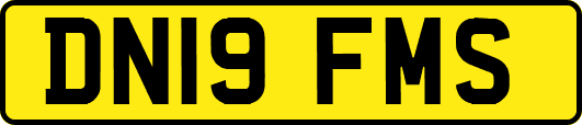 DN19FMS