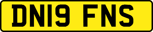 DN19FNS