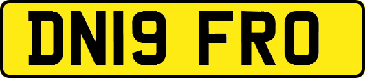 DN19FRO
