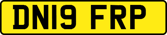 DN19FRP