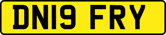 DN19FRY