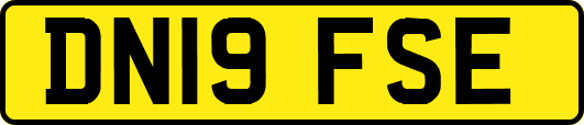 DN19FSE