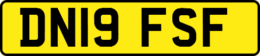 DN19FSF