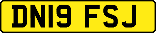 DN19FSJ