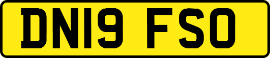 DN19FSO