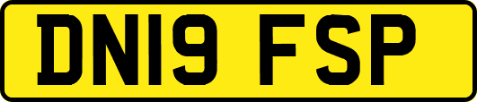 DN19FSP