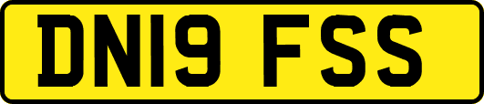 DN19FSS