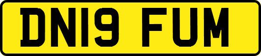 DN19FUM