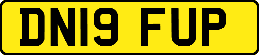 DN19FUP