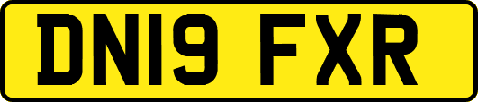 DN19FXR